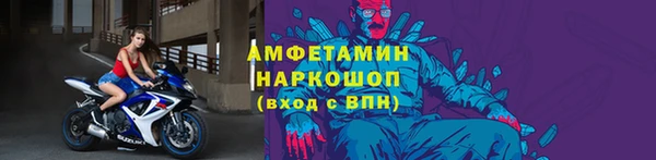 ПСИЛОЦИБИНОВЫЕ ГРИБЫ Няндома
