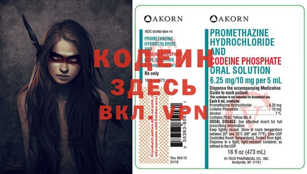 ПСИЛОЦИБИНОВЫЕ ГРИБЫ Няндома