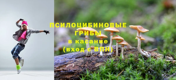 мяу мяу кристалл Нягань