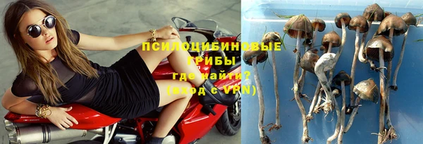 ПСИЛОЦИБИНОВЫЕ ГРИБЫ Няндома