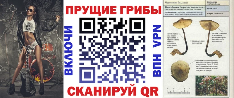 Псилоцибиновые грибы мухоморы  Берёзовский 