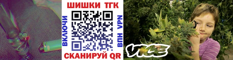 Канабис OG Kush  Берёзовский 